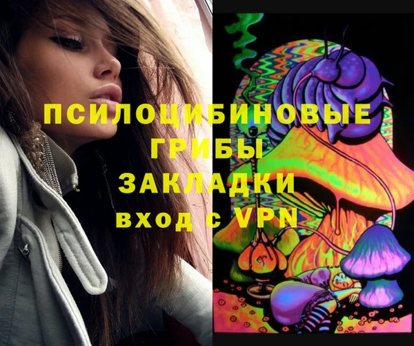 круглые Абаза
