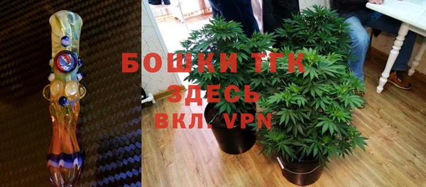стафф Осташков